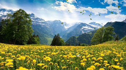 spring(风景动态壁纸) - 动态壁纸下载 - 元气壁纸