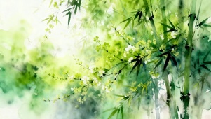 护眼树木小清新