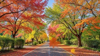 秋日彩林大道