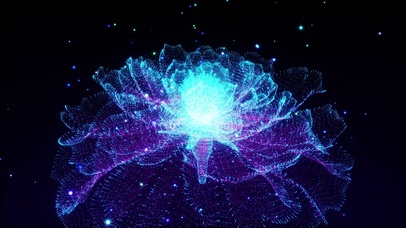 4K唯美的粒子牡丹花