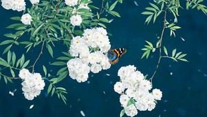 护眼树木