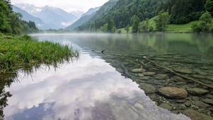 乡村的自然绿色河流