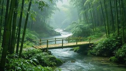 竹林溪流