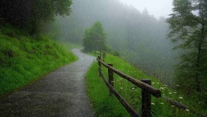 山林细雨