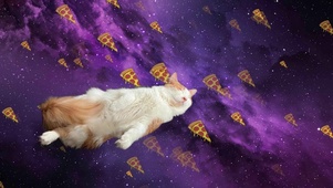 宇宙猫