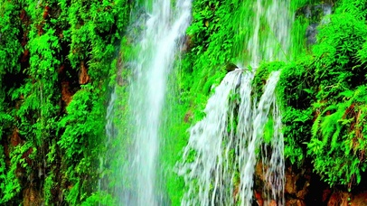 唯美荷塘瀑布4K