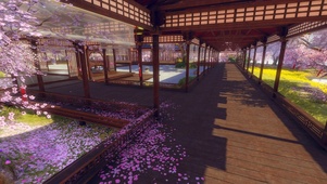樱花走廊
