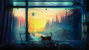 治愈猫之家