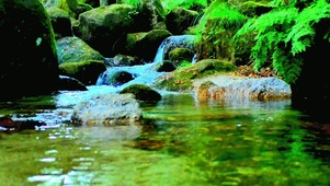 治愈护眼泉水 4K