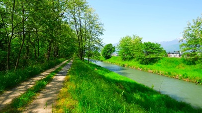 护眼树林小路溪水