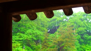 护眼清凉屋檐雨