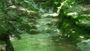 山间小溪