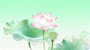 清风荷塘