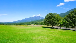 高山草地