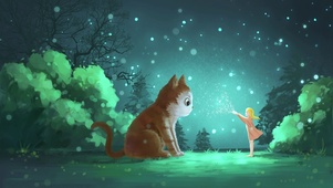 星空下的猫咪