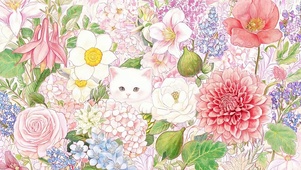 猫咪