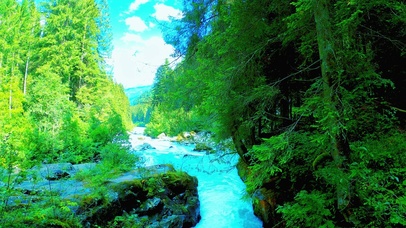 唯美护眼绿林流水 4K