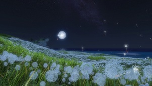 仙居原夜色