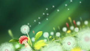 蘑菇和蒲公英