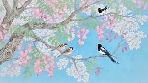 樱花树枝头喜鹊