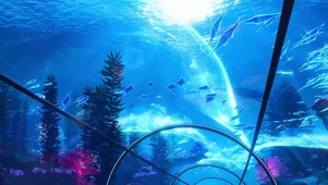 海洋水族馆