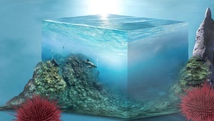 方形海洋
