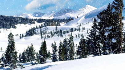 4K治愈雪山森林