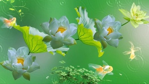蓝莲花
