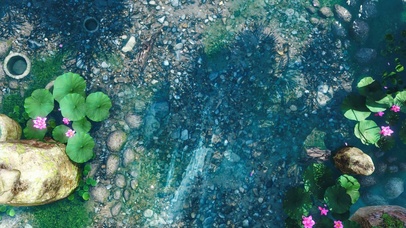 2k荷花流水