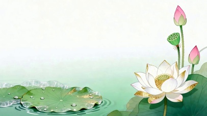 护眼小清新荷花