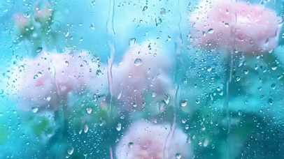 雨滴花朵带鱼屏