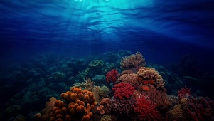 海洋世界