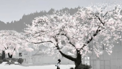 樱花树下的约定