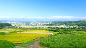 乡村田园