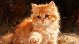 猫咪