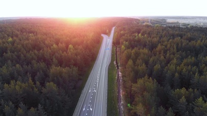4K 高清 日出的森林与卡车