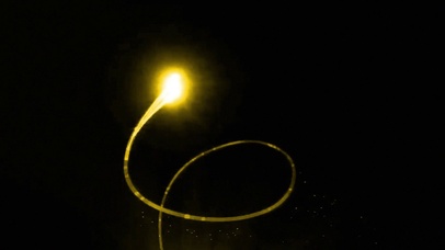 黄金树--财源滚滚