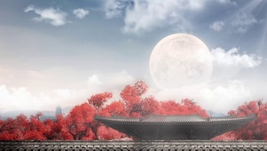 一叶知秋