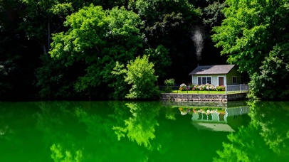 护眼树木房屋绿景