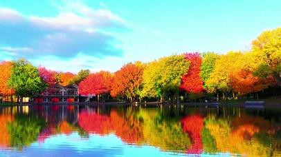 4K治愈镜面湖水