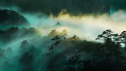 阳光森林