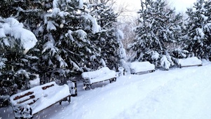 雪天小凳