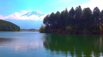 富士山下湖泊荡漾