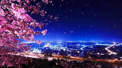 樱花夜城 风景动态壁纸 动态壁纸下载 元气壁纸