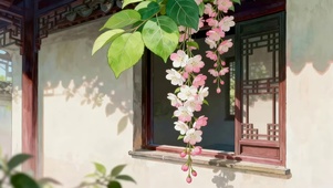 屋檐下的鲜花