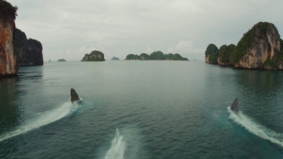 【巨齿鲨2】吴京X斯坦森