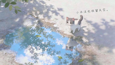 猫遇镜中云