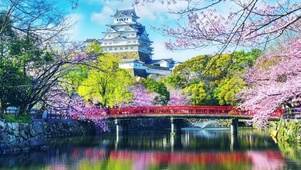 樱花公园