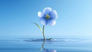 静水生花