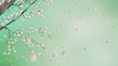 纷纷扰扰飘落的心